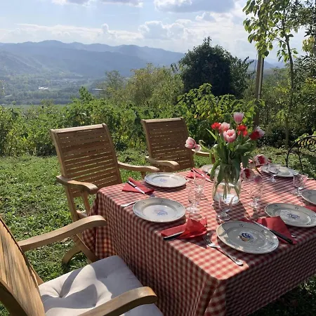 Casale Il Sambuco Sui Colli Bolognesi Σαν Λάτζαρο ντι Σάβενα