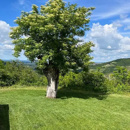 Casale Il Sambuco Sui Colli Bolognesi * San Lazzaro di Savena